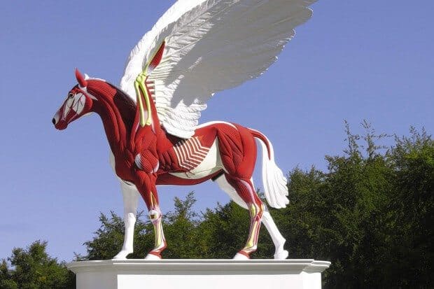 Pegasus