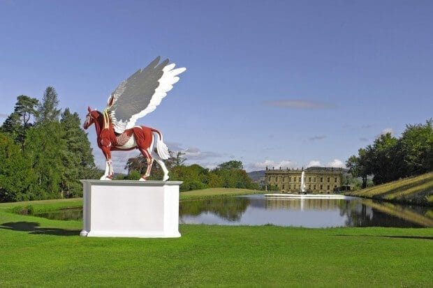 paard Damien Hirst